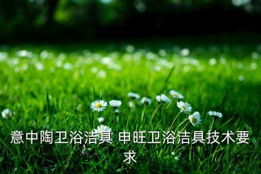 意中陶衛(wèi)浴潔具 申旺衛(wèi)浴潔具技術(shù)要求