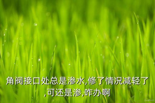 衛(wèi)浴內(nèi)絲角閥圖片,4分內(nèi)絲角閥圖片