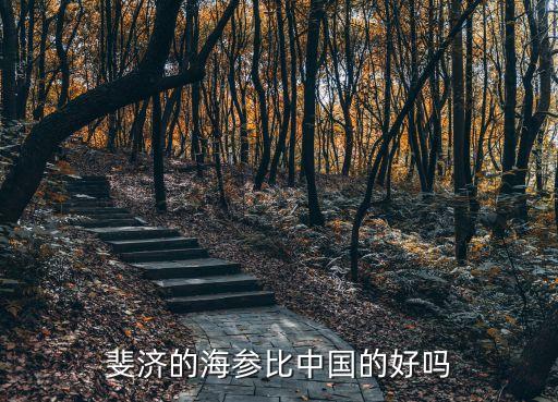 斐濟的海參比中國的好嗎