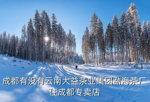成都有沒有云南大益茶業(yè)集團(tuán)勐海茶廠住成都專賣店