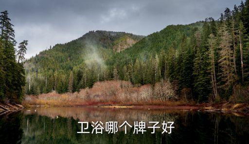 最好的衛(wèi)浴間隔斷品牌