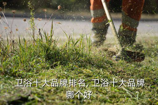  衛(wèi)浴十大品牌排名, 衛(wèi)浴十大品牌哪個好