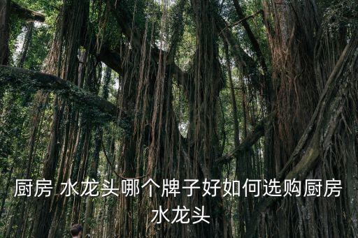 廚房 水龍頭哪個(gè)牌子好如何選購(gòu)廚房 水龍頭
