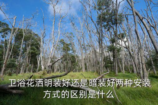 衛(wèi)浴花灑明裝好還是暗裝好兩種安裝方式的區(qū)別是什么