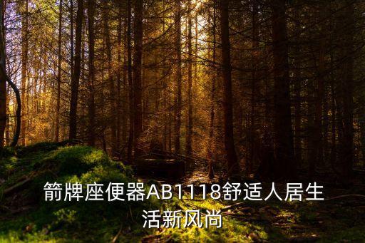  箭牌座便器AB1118舒適人居生活新風尚