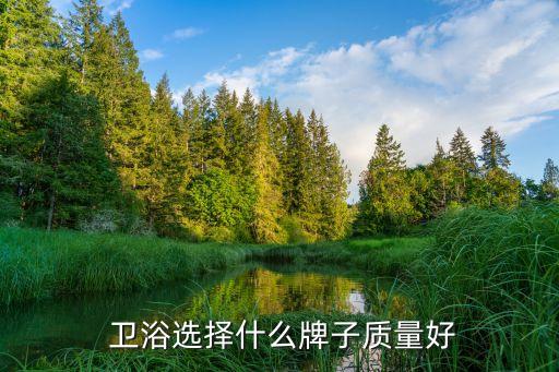  衛(wèi)浴選擇什么牌子質(zhì)量好