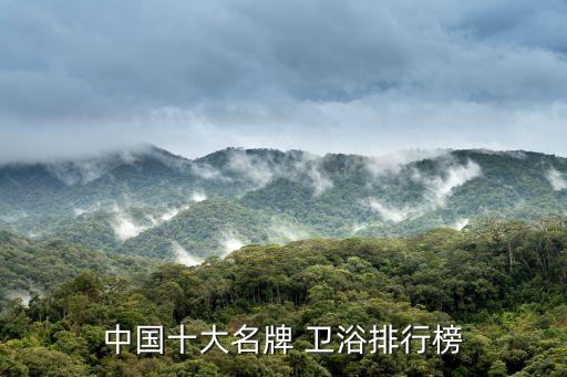 唐人品牌的衛(wèi)浴,唐人廚具是品牌嗎?