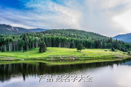產(chǎn)品 起名字大全
