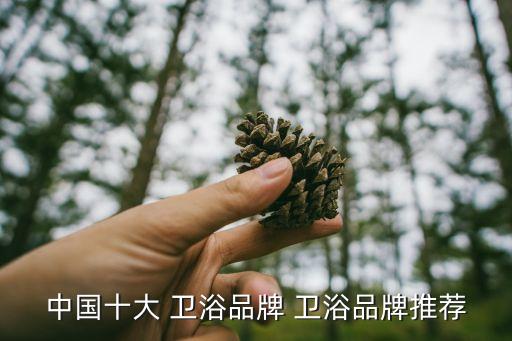 中國十大 衛(wèi)浴品牌 衛(wèi)浴品牌推薦