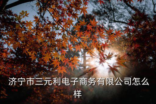  濟(jì)寧市三元利電子商務(wù)有限公司怎么樣