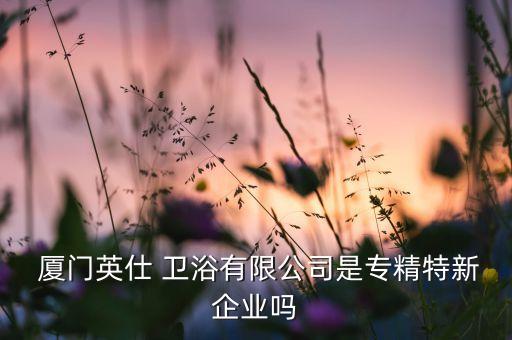  廈門英仕 衛(wèi)浴有限公司是專精特新企業(yè)嗎