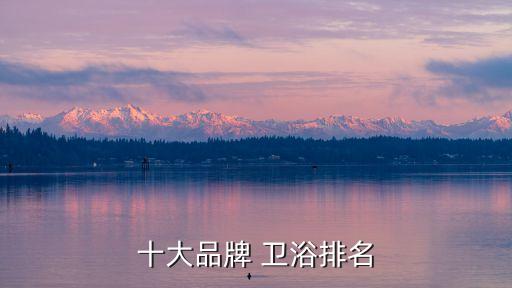 十大品牌 衛(wèi)浴排名