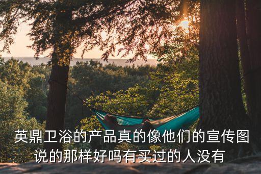 英鼎衛(wèi)浴是品牌嗎,鼎菲衛(wèi)浴在國(guó)內(nèi)是幾線品牌