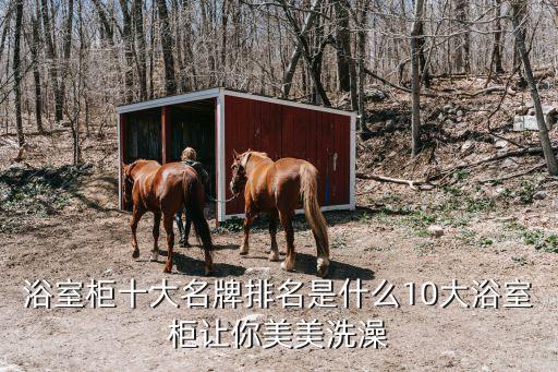 浴室柜十大名牌排名是什么10大浴室柜讓你美美洗澡