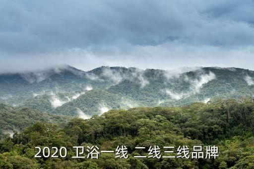 2020 衛(wèi)浴一線 二線三線品牌