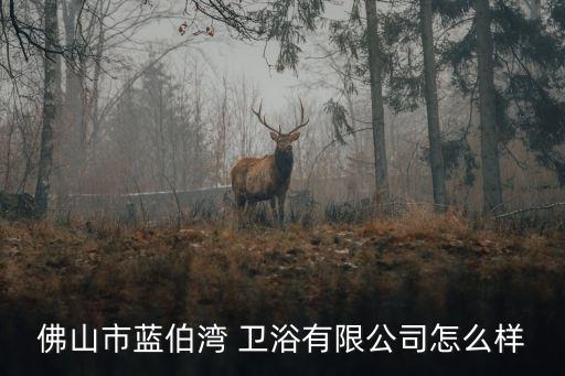 佛山市藍(lán)伯灣 衛(wèi)浴有限公司怎么樣