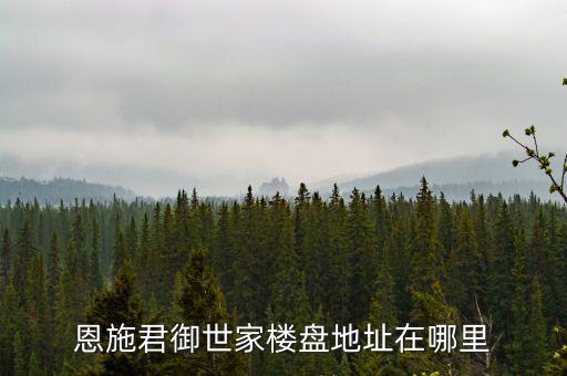 君御衛(wèi)浴推薦什么品牌