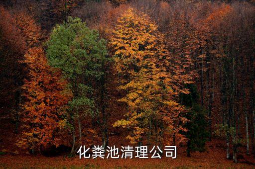 化糞池清理公司