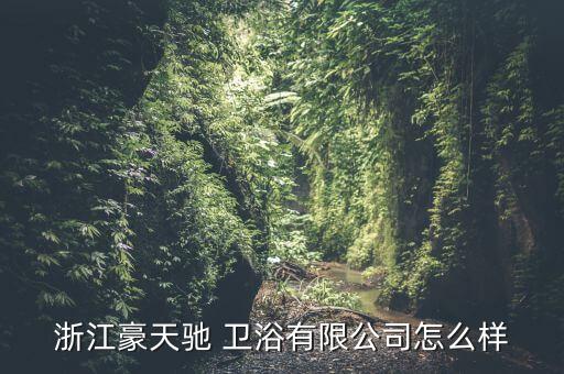 浙江豪天馳 衛(wèi)浴有限公司怎么樣