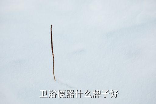只坐馬桶的衛(wèi)浴品牌,全國(guó)衛(wèi)浴10大品牌馬桶有哪些