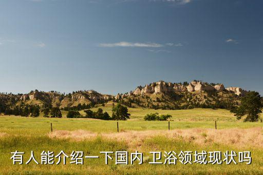 有人能介紹一下國(guó)內(nèi) 衛(wèi)浴領(lǐng)域現(xiàn)狀嗎