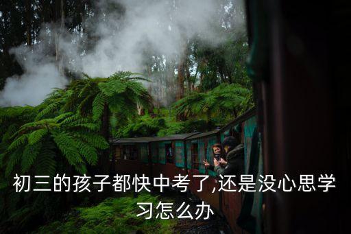 初三的孩子都快中考了,還是沒(méi)心思學(xué)習(xí)怎么辦