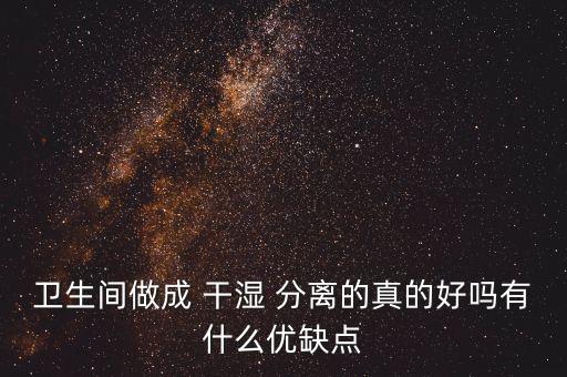 衛(wèi)浴文化干濕分離設(shè)計圖片