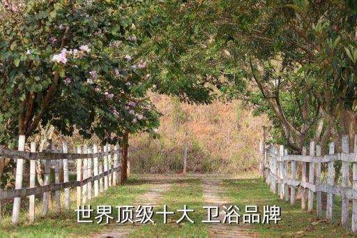 世界頂級十大 衛(wèi)浴品牌