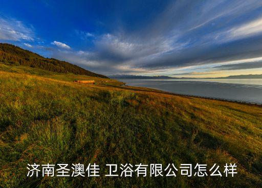  濟南圣澳佳 衛(wèi)浴有限公司怎么樣