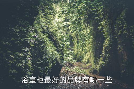 浴室柜最好的品牌有哪一些