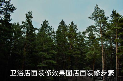 衛(wèi)浴布置標(biāo)間圖片效果圖,衛(wèi)浴店活動布置圖片大全
