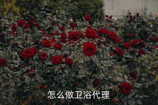 怎么做衛(wèi)浴代理