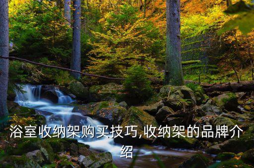鋁制衛(wèi)浴儲放架圖片高清