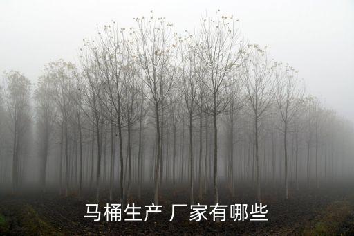 馬桶生產(chǎn) 廠家有哪些