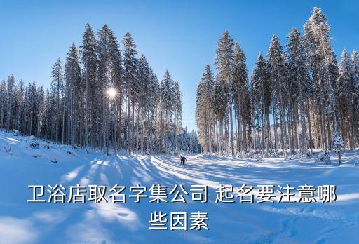 衛(wèi)浴店取名字集公司 起名要注意哪些因素