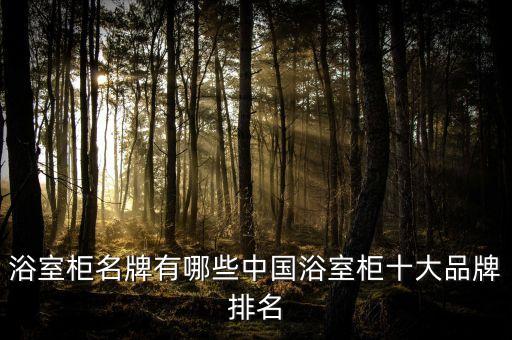 浴室柜名牌有哪些中國浴室柜十大品牌排名