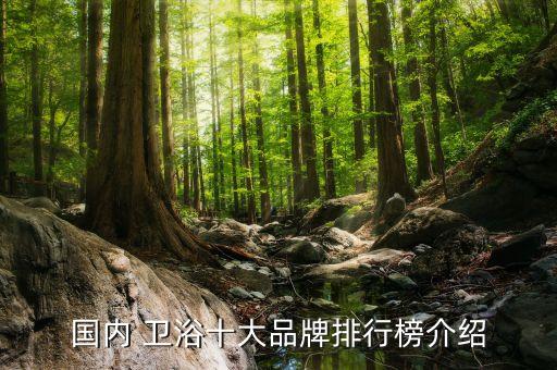 國(guó)內(nèi) 衛(wèi)浴十大品牌排行榜介紹