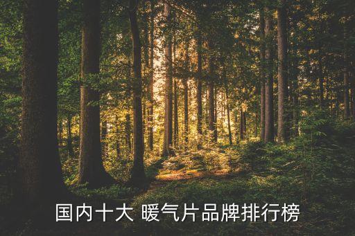 河北衛(wèi)浴暖氣片家用品牌,衛(wèi)浴暖氣片十大品牌