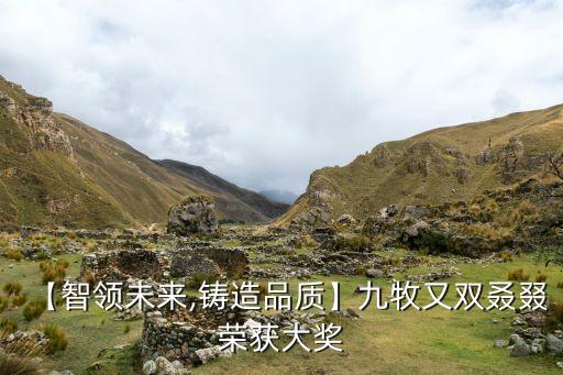 【智領(lǐng)未來,鑄造品質(zhì)】九牧又雙叒叕榮獲大獎(jiǎng)
