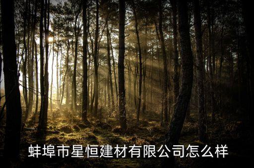  蚌埠市星恒建材有限公司怎么樣