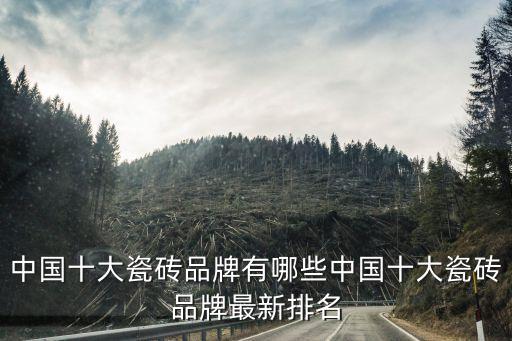 中國十大瓷磚品牌有哪些中國十大瓷磚品牌最新排名