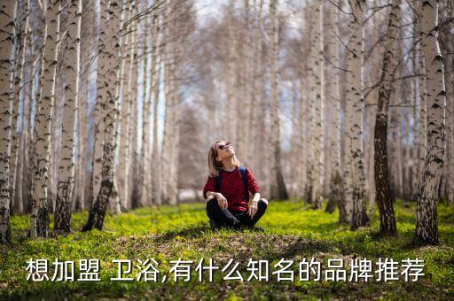 想加盟 衛(wèi)浴,有什么知名的品牌推薦