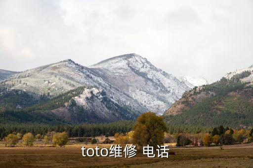 toto維修 電話