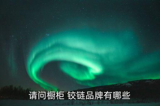 請(qǐng)問櫥柜 鉸鏈品牌有哪些