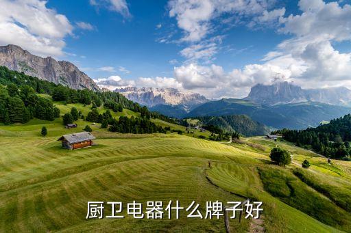 廚衛(wèi)電器什么牌子好