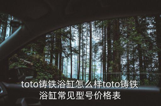 toto鑄鐵浴缸怎么樣toto鑄鐵浴缸常見型號價格表