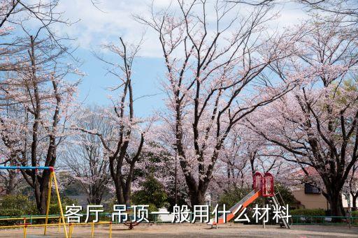 客廳 吊頂一般用什么材料