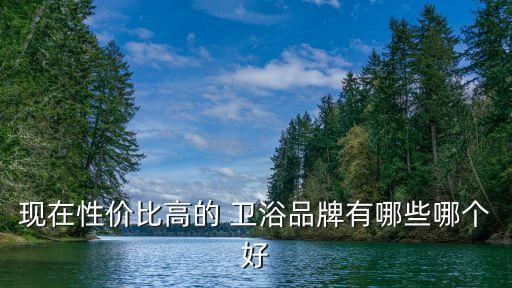 現(xiàn)在性價(jià)比高的 衛(wèi)浴品牌有哪些哪個(gè)好