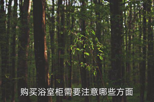 廚柜衛(wèi)浴怎么選購(gòu)技巧圖片