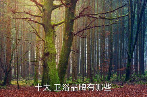 十大 衛(wèi)浴品牌有哪些